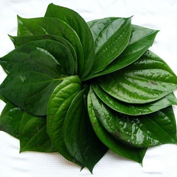 la trau khong ho nong