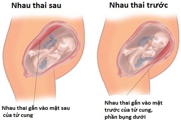 rau thai bam mat truoc copy
